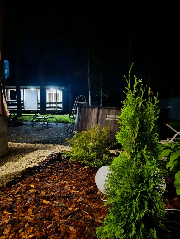 Дом комфорт класса у леса