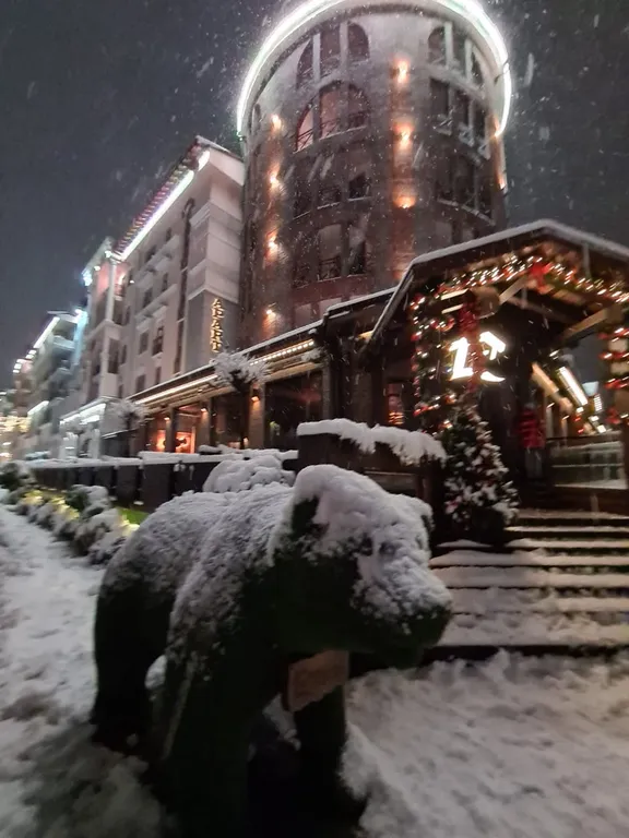 New студия в стиле шале