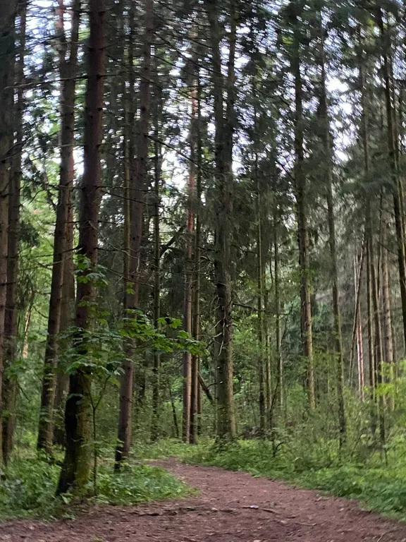 Апартаменты в частном доме в Щелковском районе МО