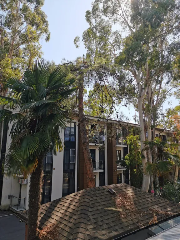 Квартира 2-комнатная Квартира — Адлер