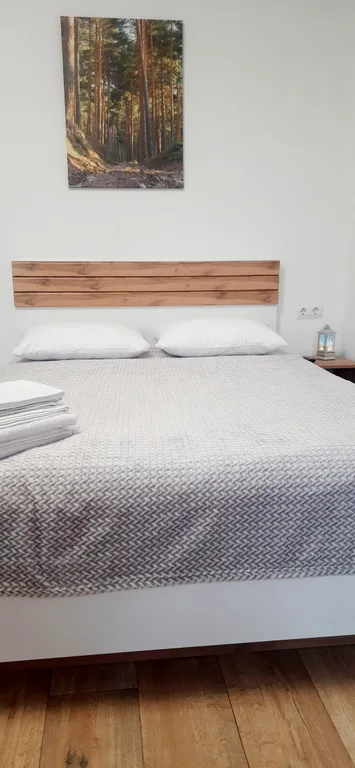 Апартаменты Беловежская пуща