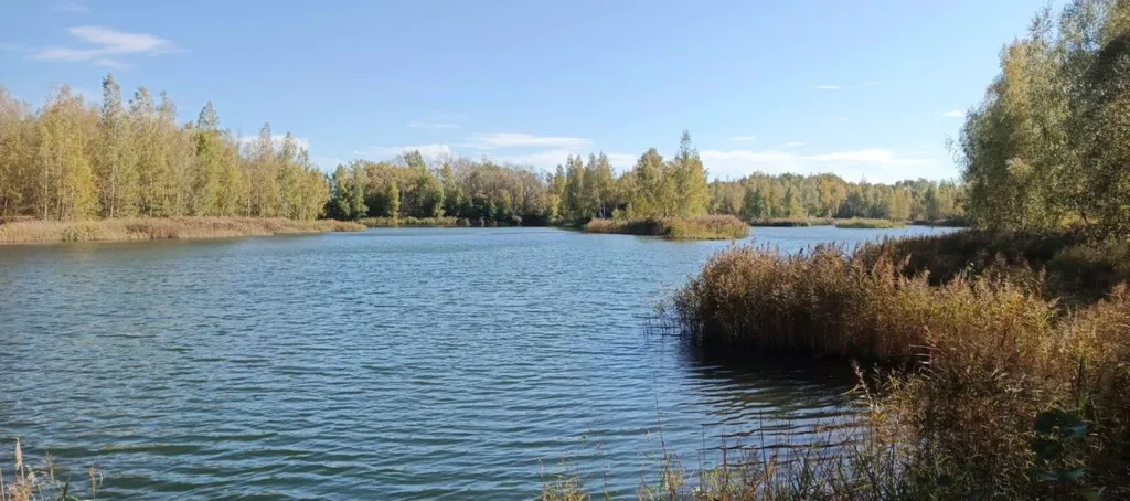 Коттедж Домик Сканди — Донской