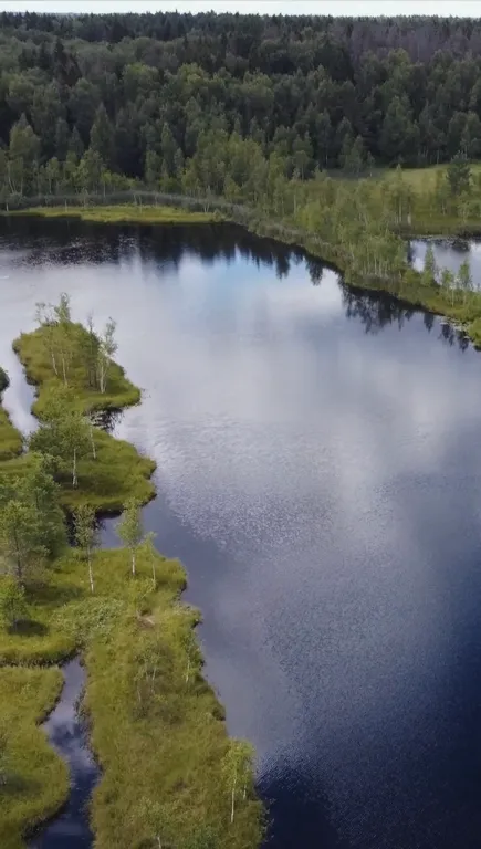 Новый стильный дом с зоной SPA, камином и красивым садом у леса