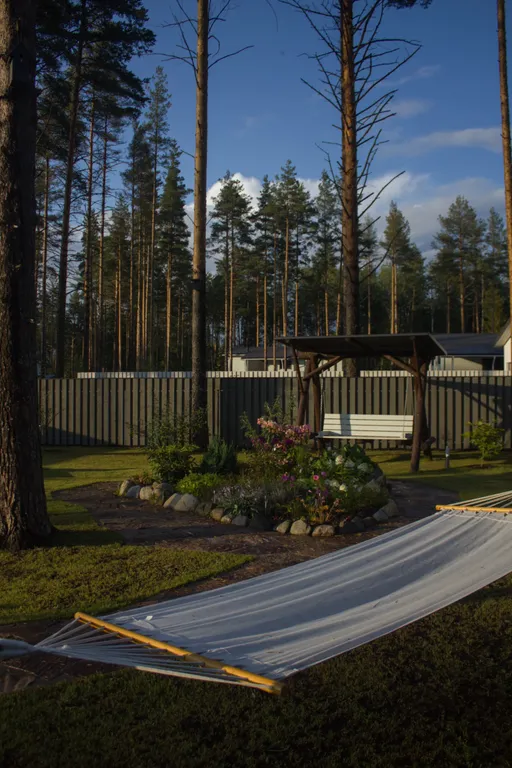 Шале в сосновом бору