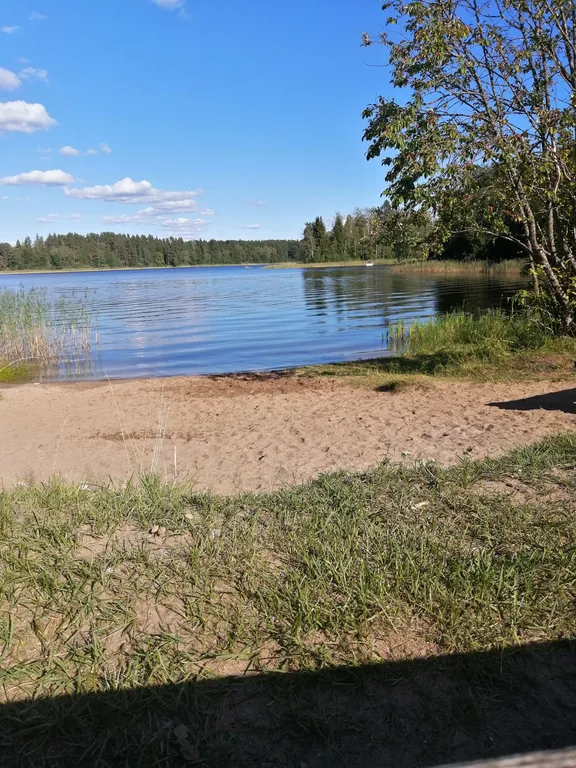 Уютный коттедж в скандинавском стиле