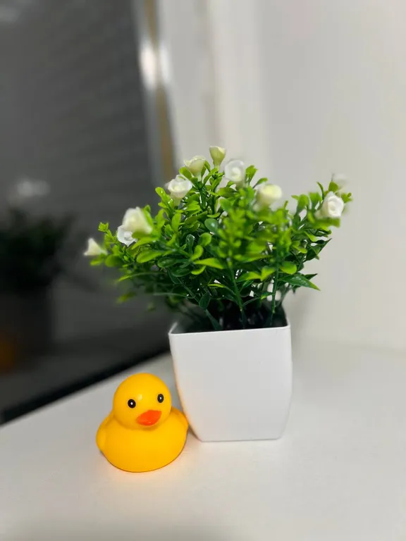 Квартира-студия у метро Девяткино для теплых вечеров