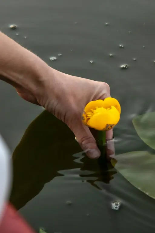 А-фрейм Тиффани