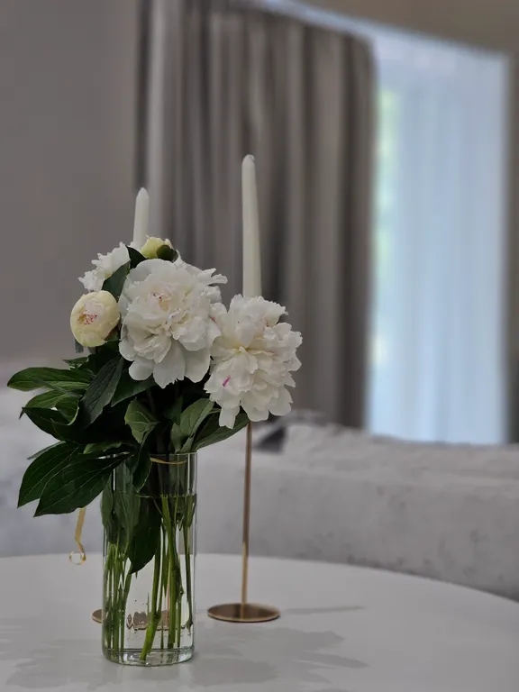 Уютная студия Светлогорск сибирский переулок 2а