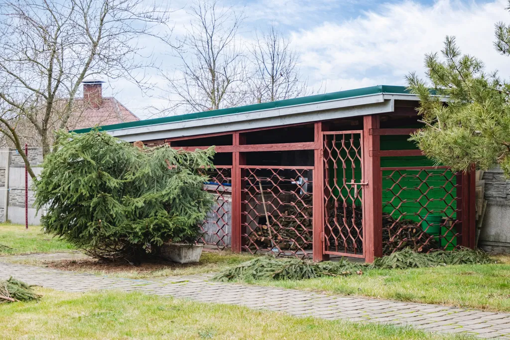 Идеальное место для отдыха от городской суеты