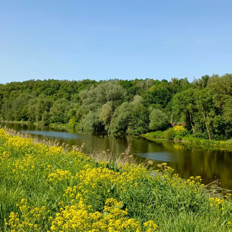 Коттедж Уютный домик с банным чаном — Глазово