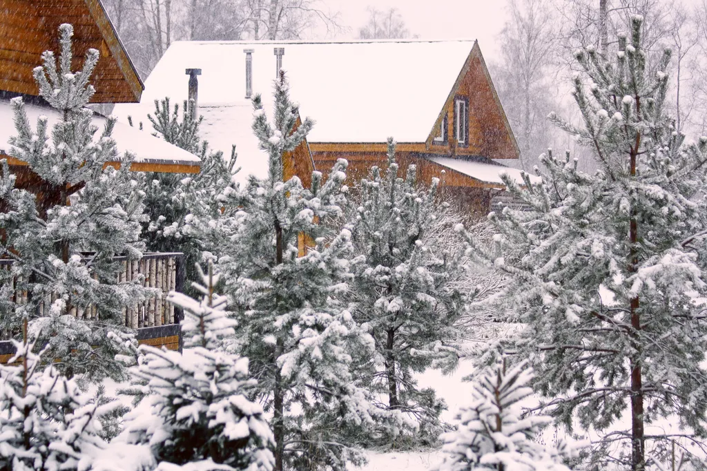 Коттедж Комфортабельный коттедж с сауной — Беличье