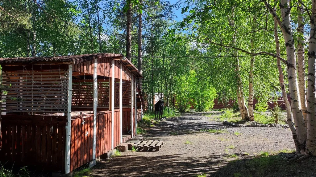 Большой дом с сауной