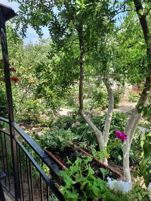 Квартира Квартира (Якорь) — Севастополь