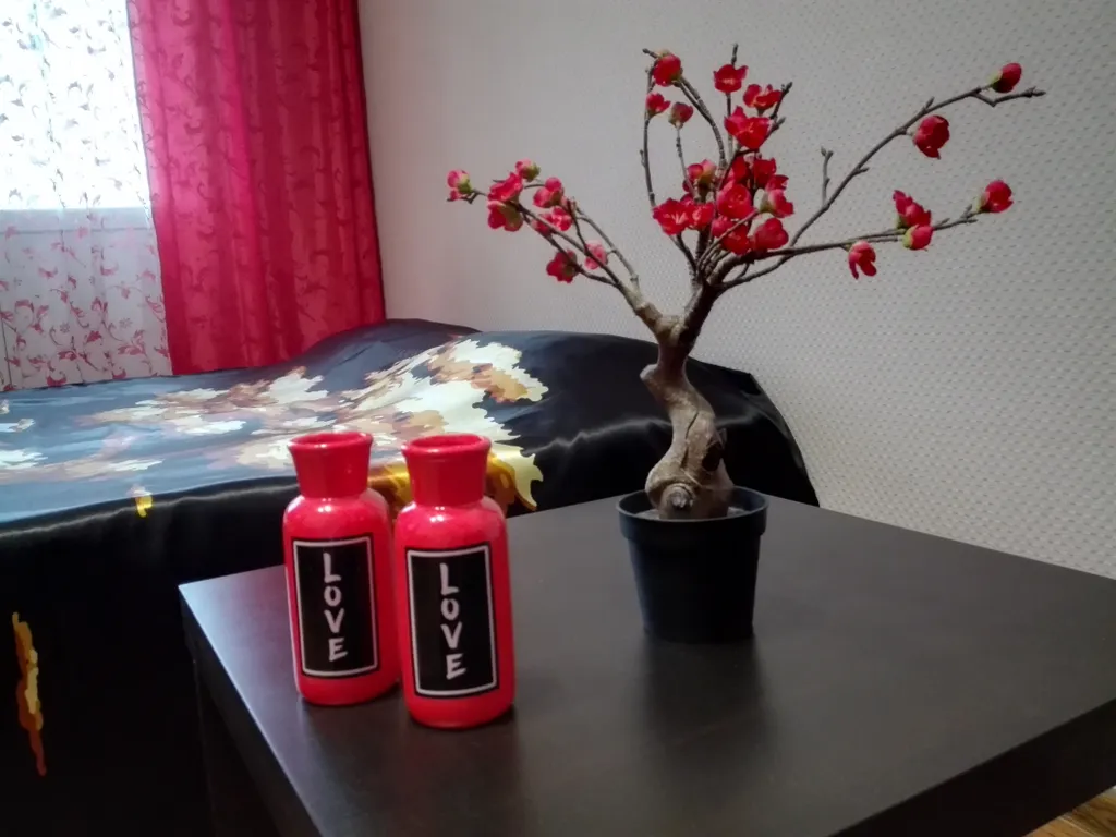 Студия Япония