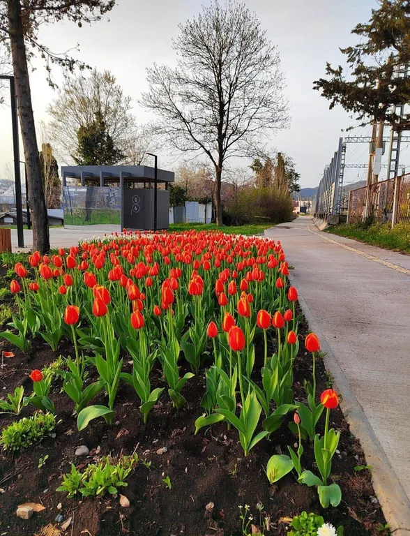 Бирюзовая идиллия