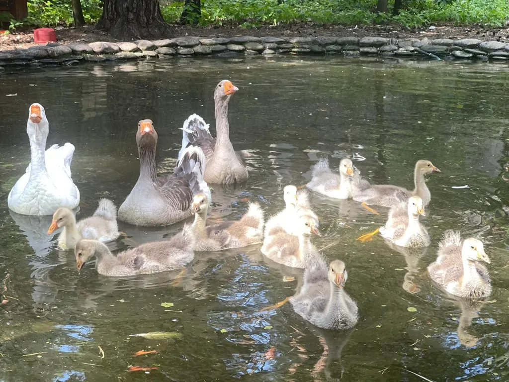 Уютный коттедж в сосновом лесу рядом с Москвой