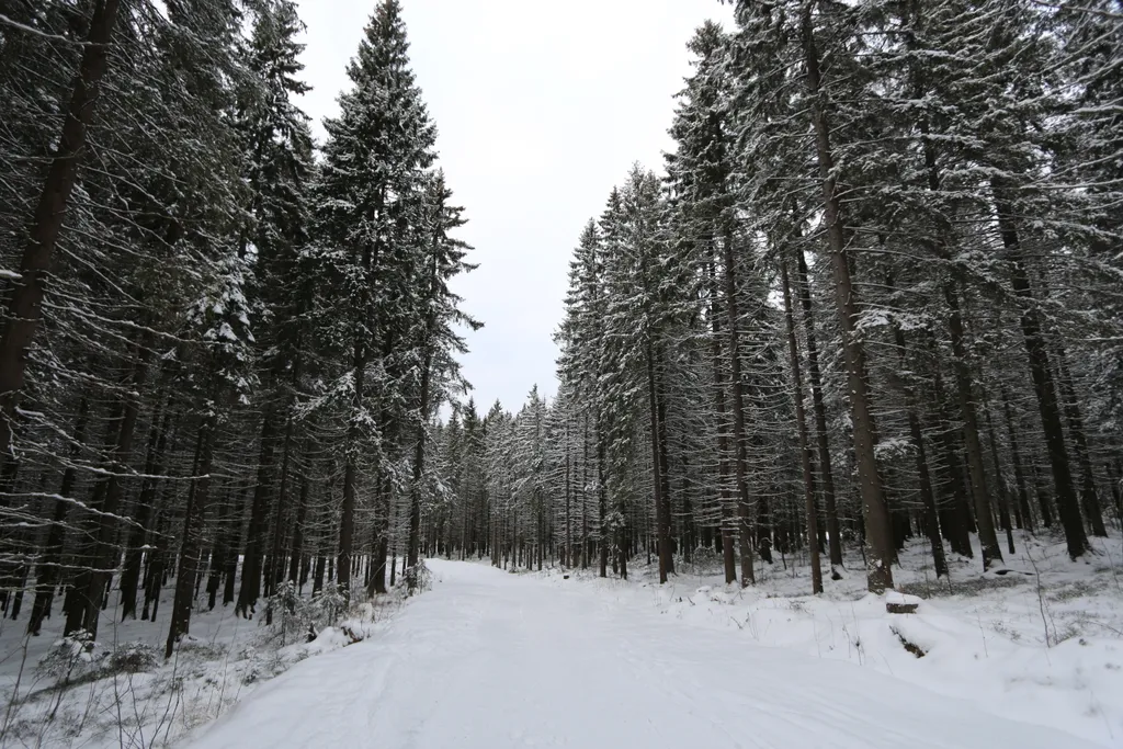 Просторная квартира с сауной рядом спорткомплекс Курган