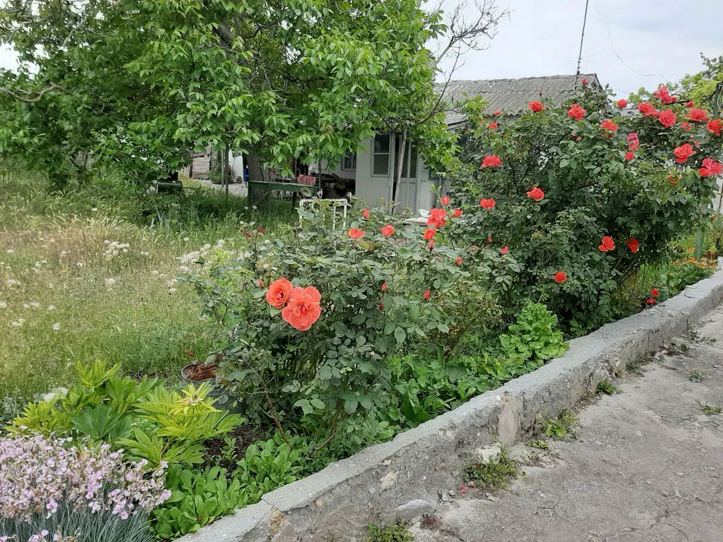 Квартира Комната — Черноморское