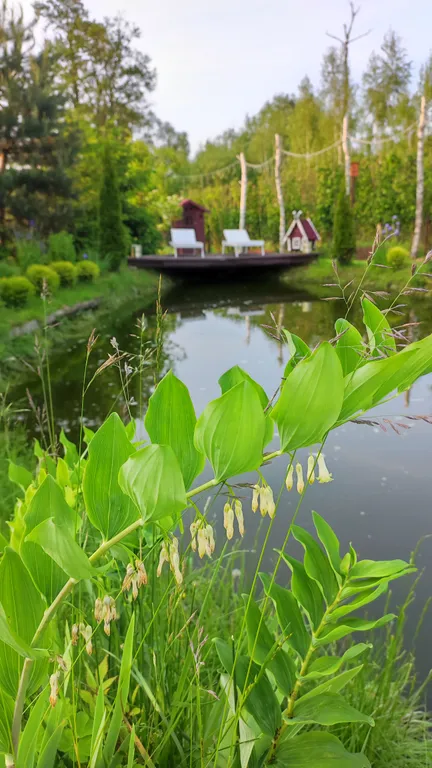 Агроусадьба с баней, на реке Птичь под Минском, с прудом