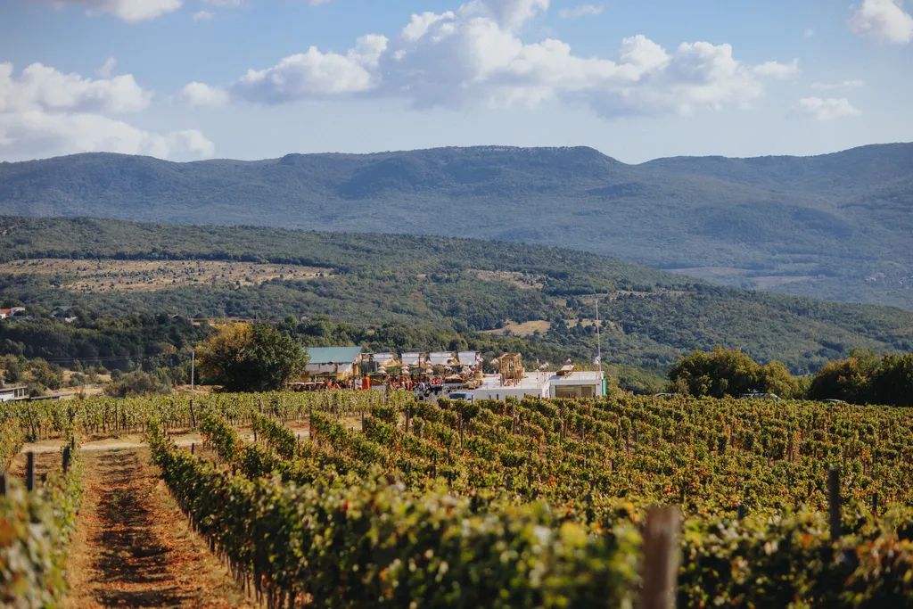 Эко-дом на виноградниках