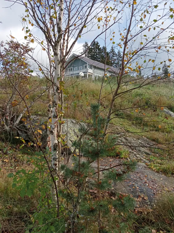 Гостевой дом Мункинмяки на берегу озера