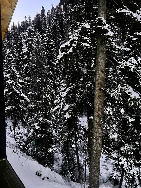 Коттедж в окружении реки,гор и леса