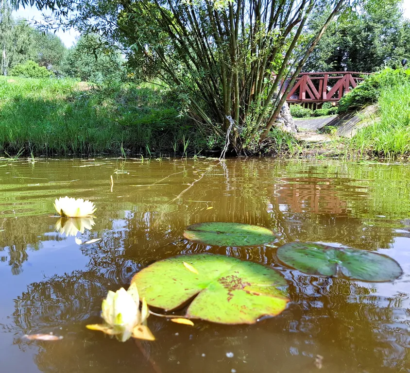 Дом-замок для большой компании