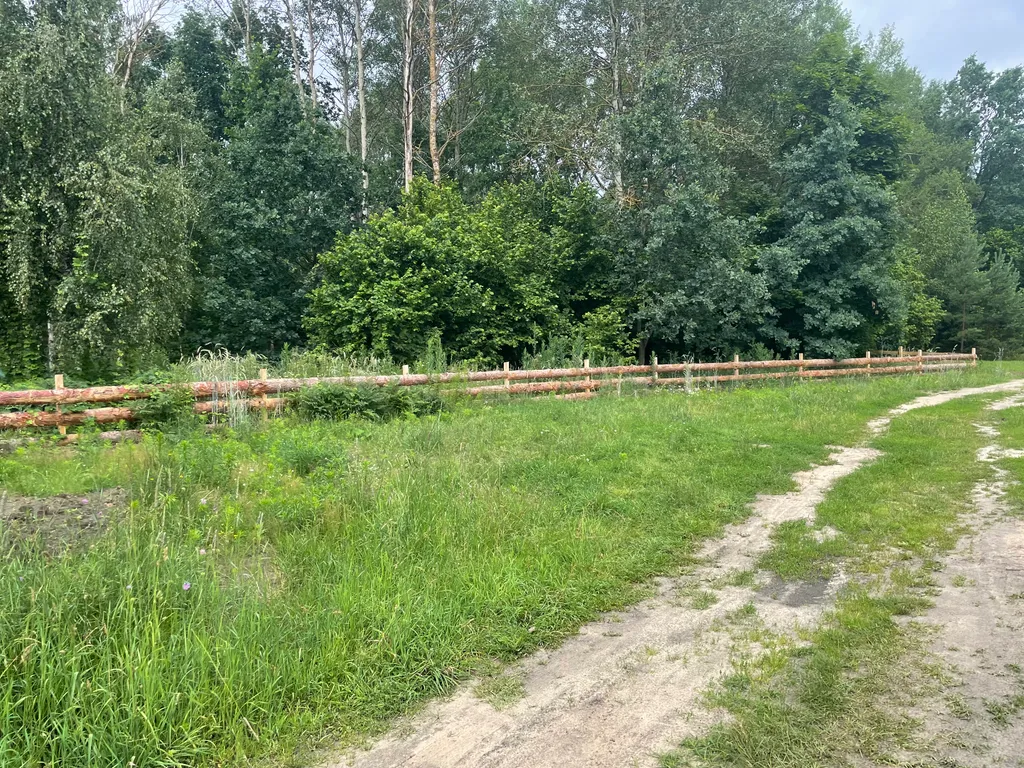 Коттедж для отдыха вблизи леса, с отдельной территорией и баней