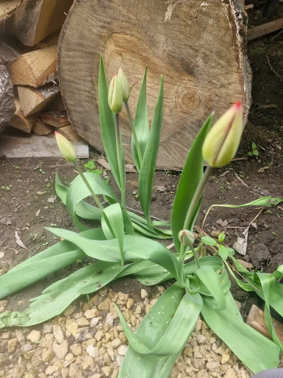 Коттедж А-фрейм с видом на озеро и лес — Казань