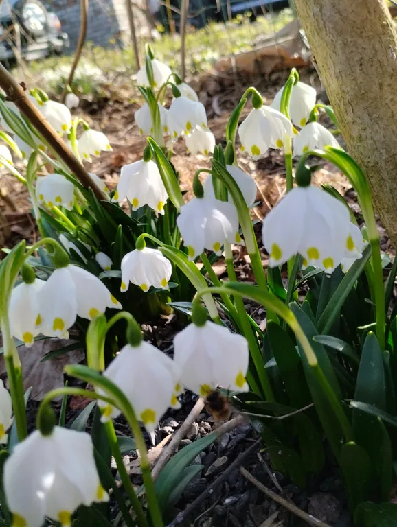 Уютная и тихая квартира в центре города