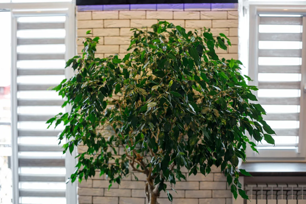 Апартаменты в самом центре города - ул. Советская 15а