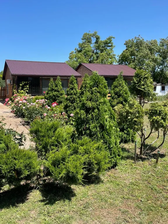 Море у дачи