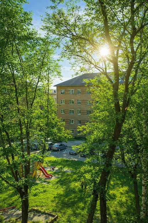 Трёхкомнатная квартира в центре города