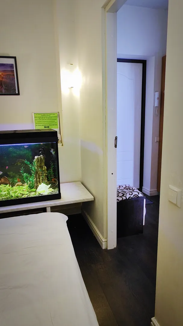Вид с дивана на аквариум и дверь в прихожую
