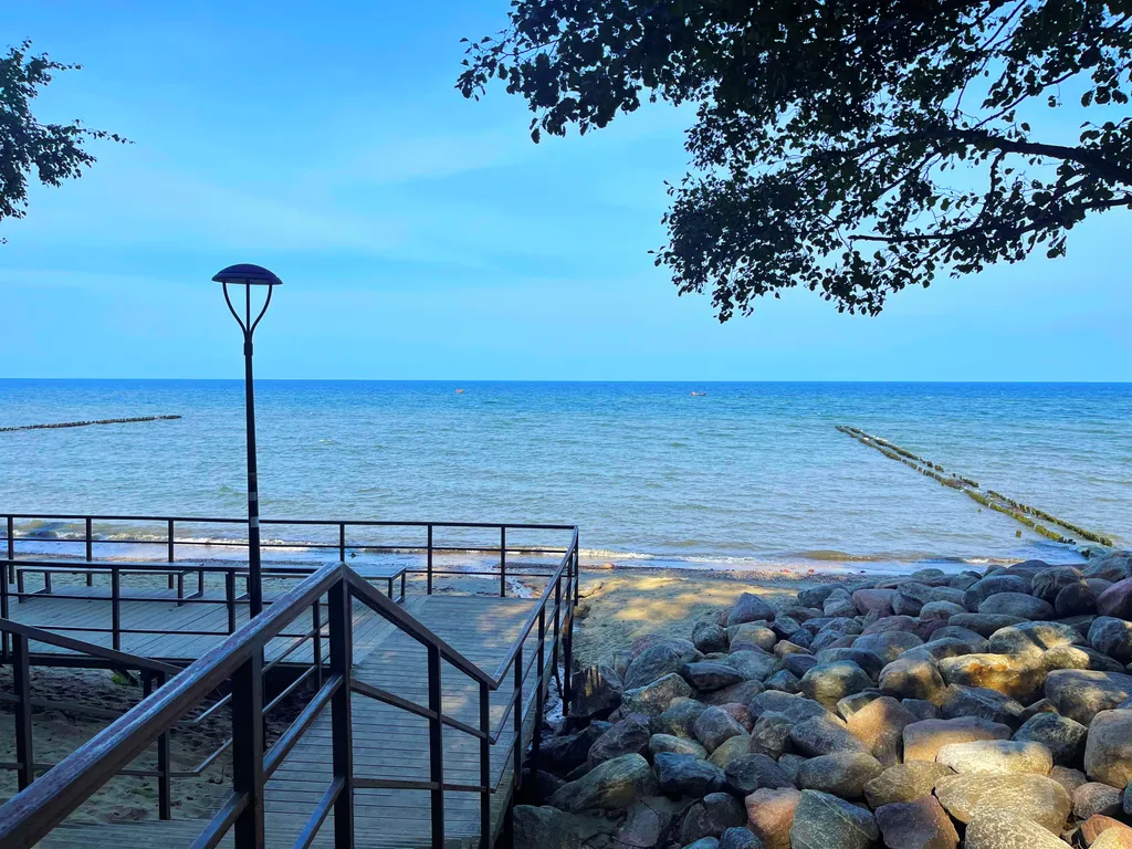 Квартира Новые апартаменты с видом на сосновый парк рядом с морем — аренда посуточно в Светлогорск