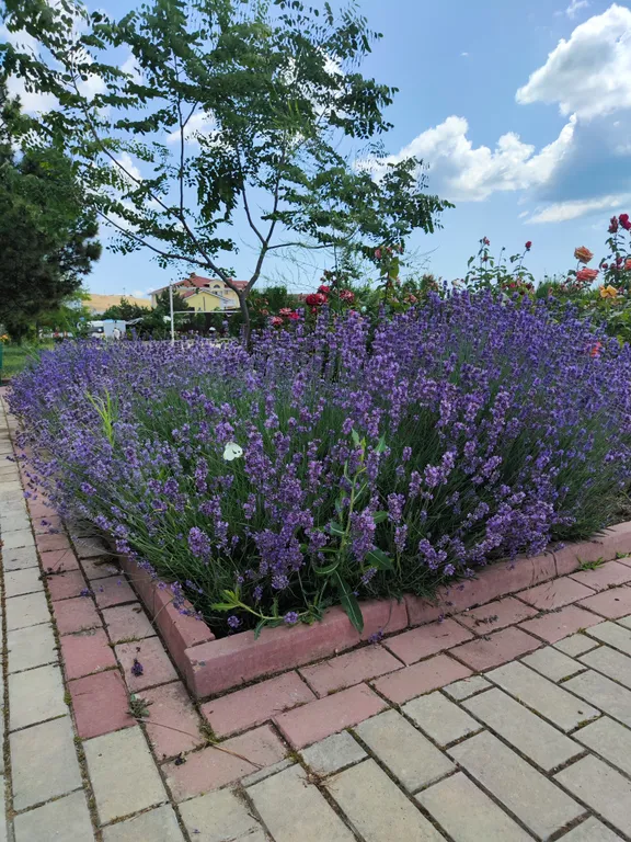 Апартаменты - студия Как Дома