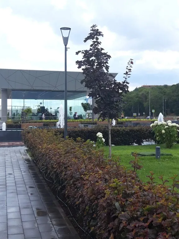 Квартира в историческом центре