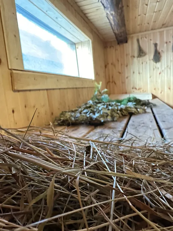 Гостевой дом Зеленьково