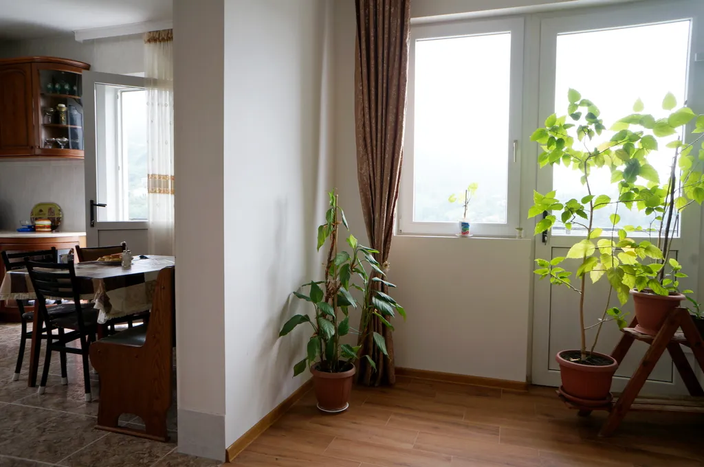 Белый дом в горах Ортабатуми