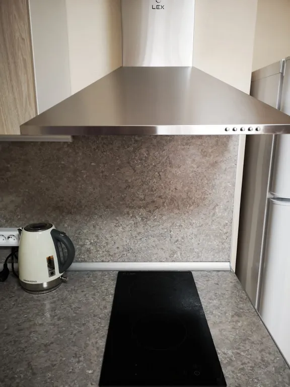 Квартира Уютная квартира рядом с НИИ им. Петрова — Песочный