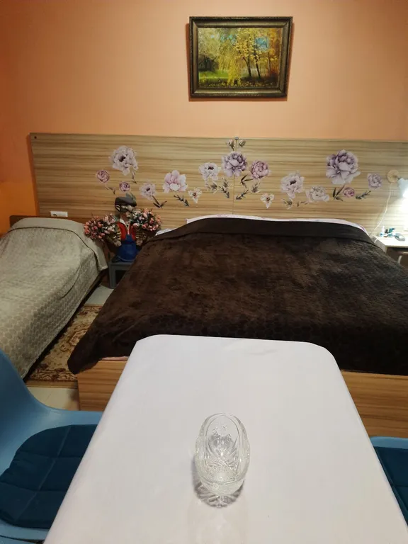 Квартира Квартира Семейный номер с кухней на 3-х гостей на первом этаже с санузлом — Адлер