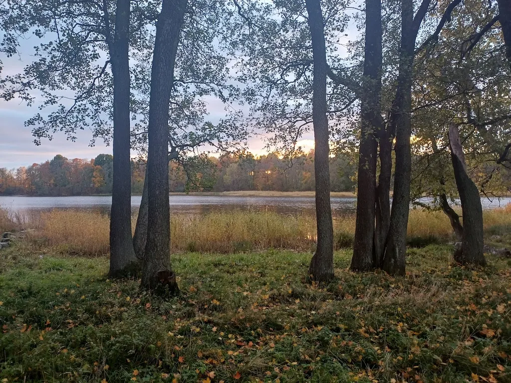 Сауналахти барнхаус на берегу Банного залива