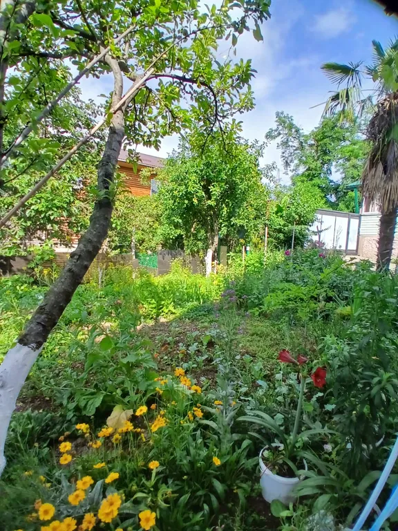 Уютный дом для семейного отдыха