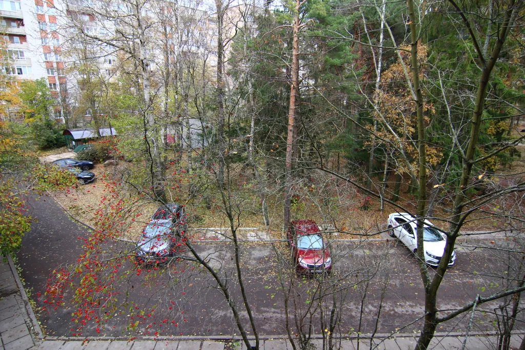 Большая квартира полулюкс в центре города