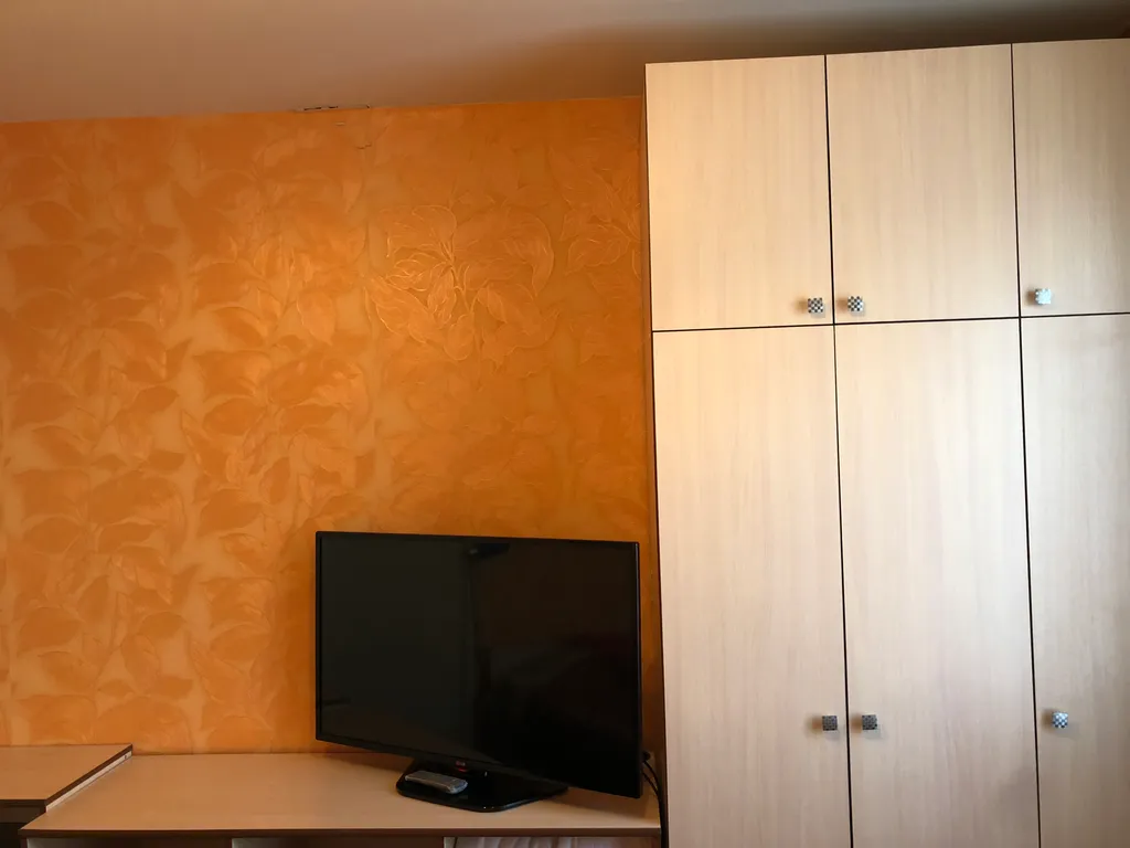 Просторные апартаменты с двумя спальнями