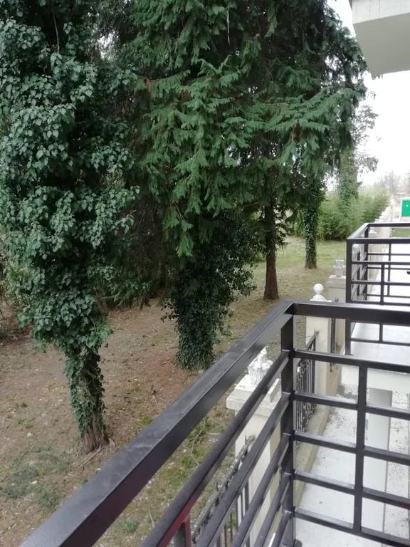 Квартира Уютная квартира с видом в парк — Сириус