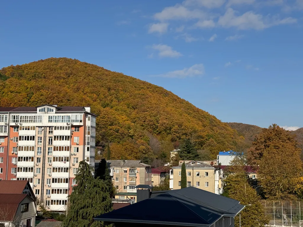 Квартира-студия с балконом у реки