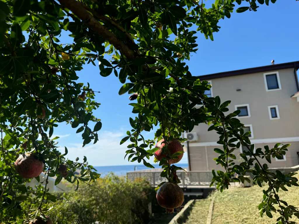 Гостевой дом на берегу моря