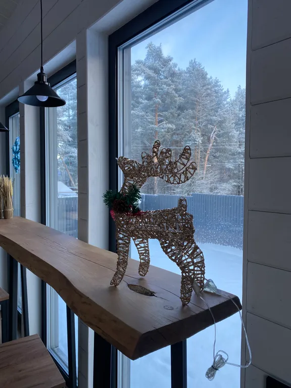 Коттедж Уютный коттедж с сауной и купелью — Бугры