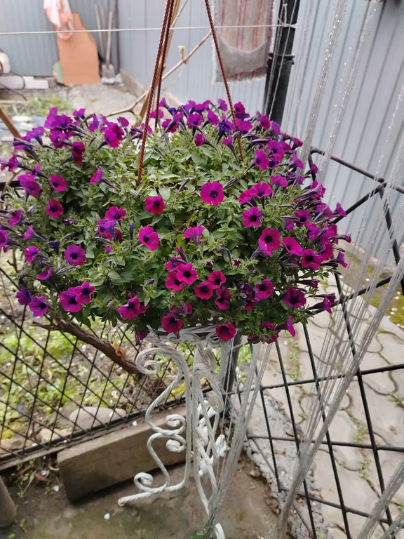 Коттедж Коттедж Уютная квартира в курортной зоне — Кисловодск